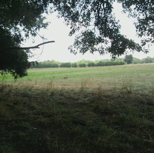 Meet your Posher, Doug